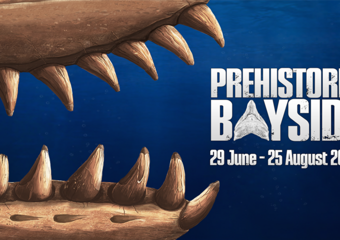 Prehistoric Bayside Exhibition