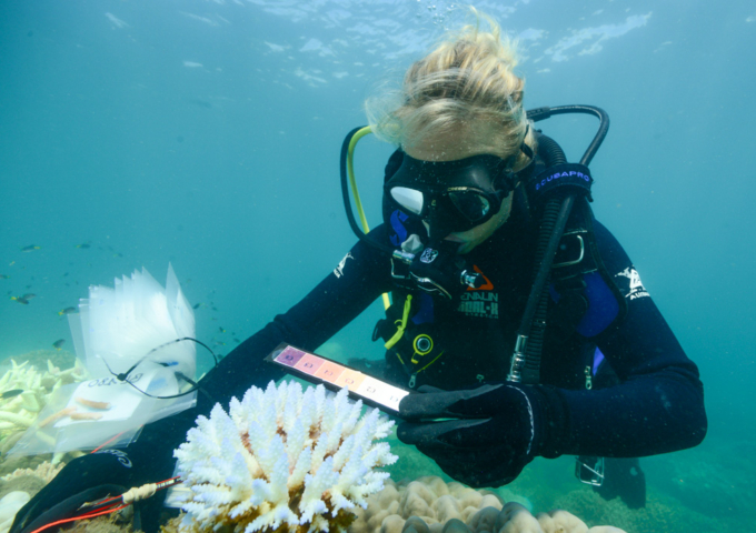 National Science Week Seed Grants in QLD 2025